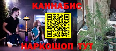 крисы Апшеронск