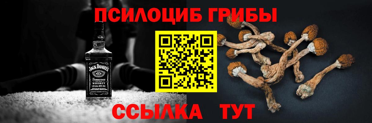 Псилоцибиновые грибы мицелий Белая Калитва